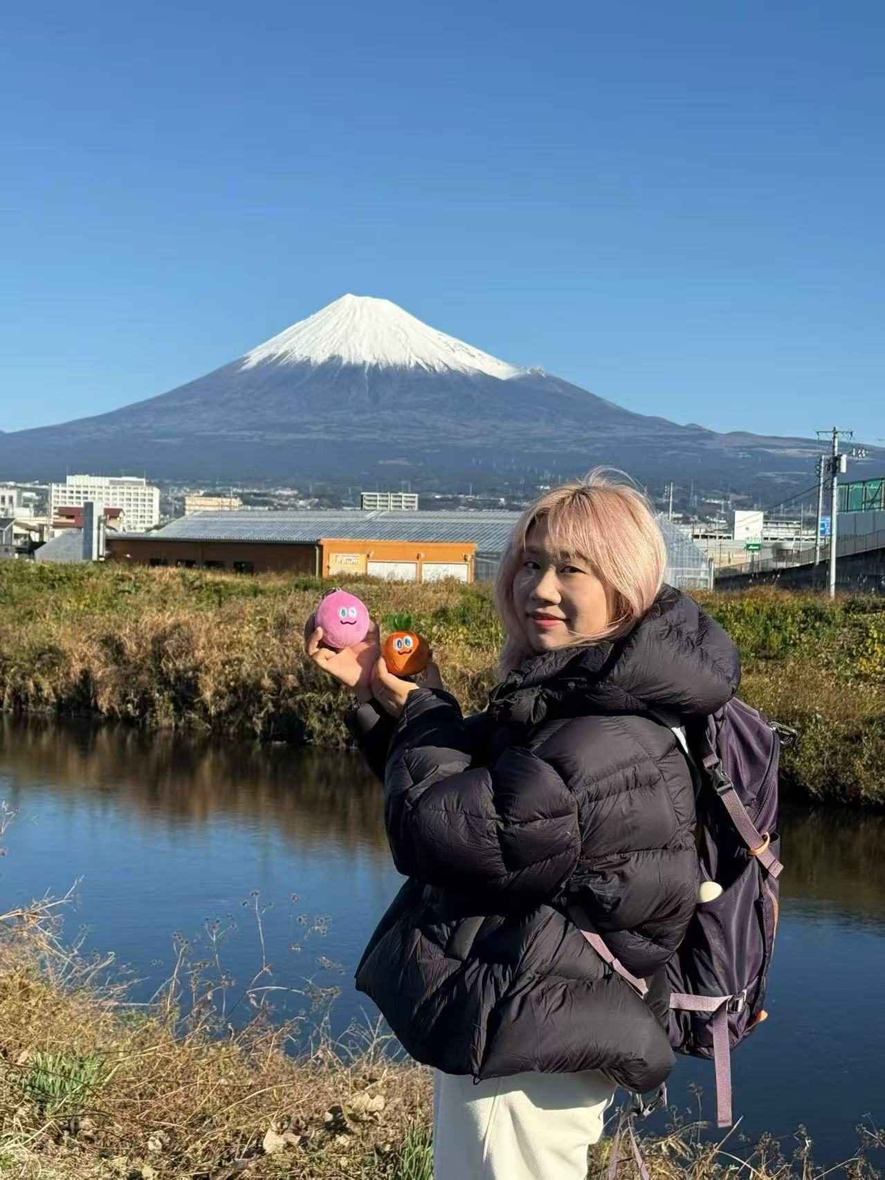 嘉宾弯弯